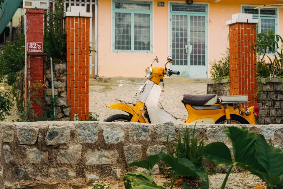 Sân vườn buổi chiều